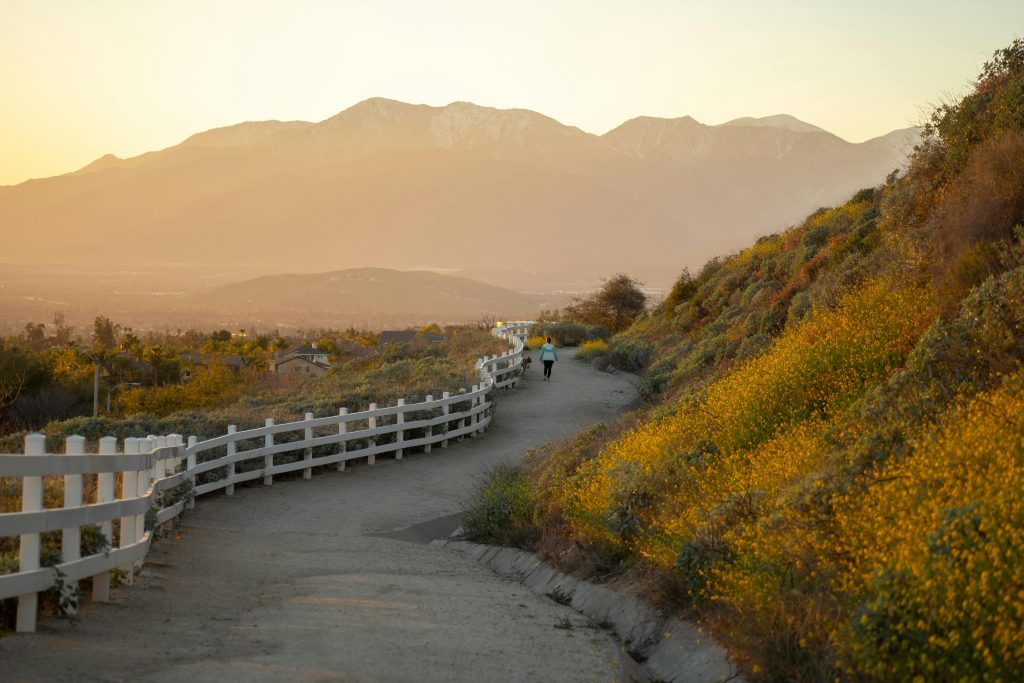 A serene evening scene of a hiking trail adorned with yellow flowers in Highland, California, under a golden sunset.